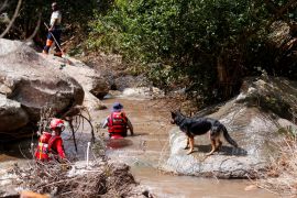 A search and rescue team uses a dog to search for bodies in Umbumbulu near Durban