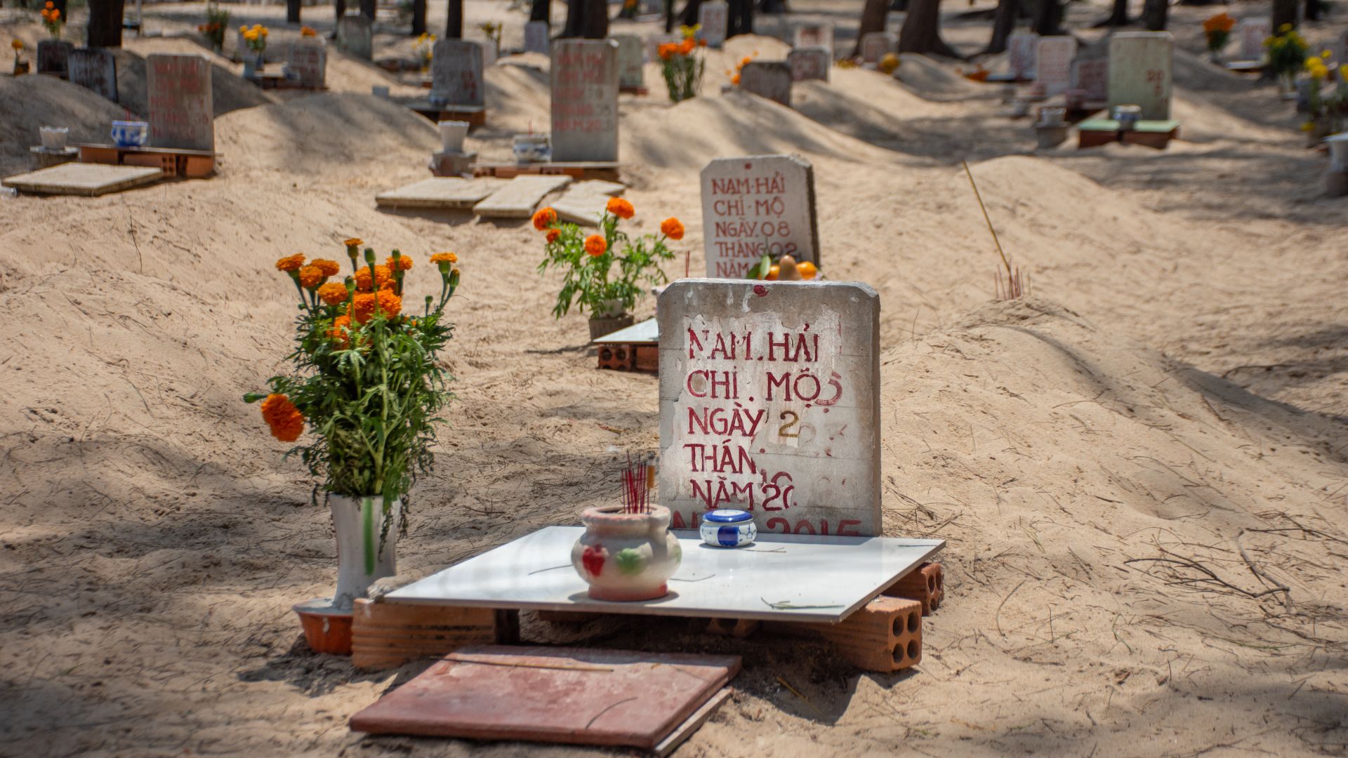 A photo of Phuoc Hai’s whale graveyard, a few dozen graves rise in little hillocks in the sand with headstones displaying the name of the fisherman that found the whale, the boat’s registration number, and the date of death.
