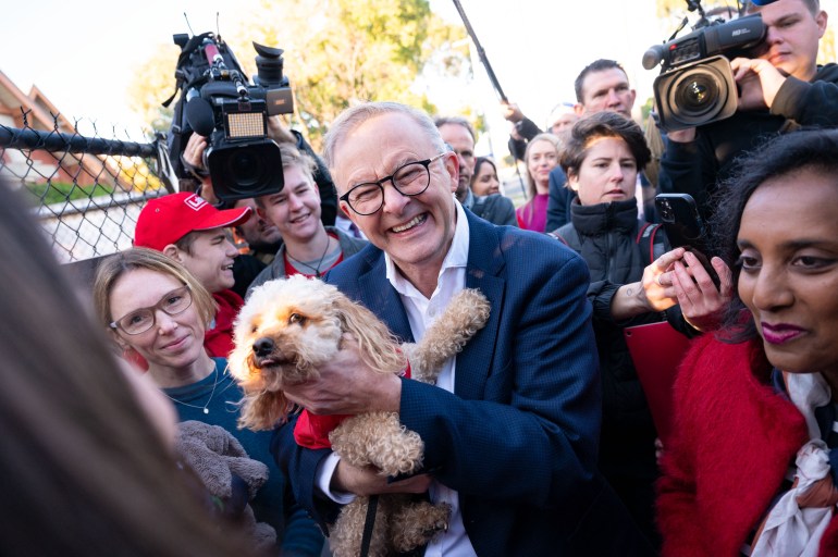 Opposition leader Anthony Albanese cuddles a dog and laughs as he meets supporters outside a polling station in Melbourne in M