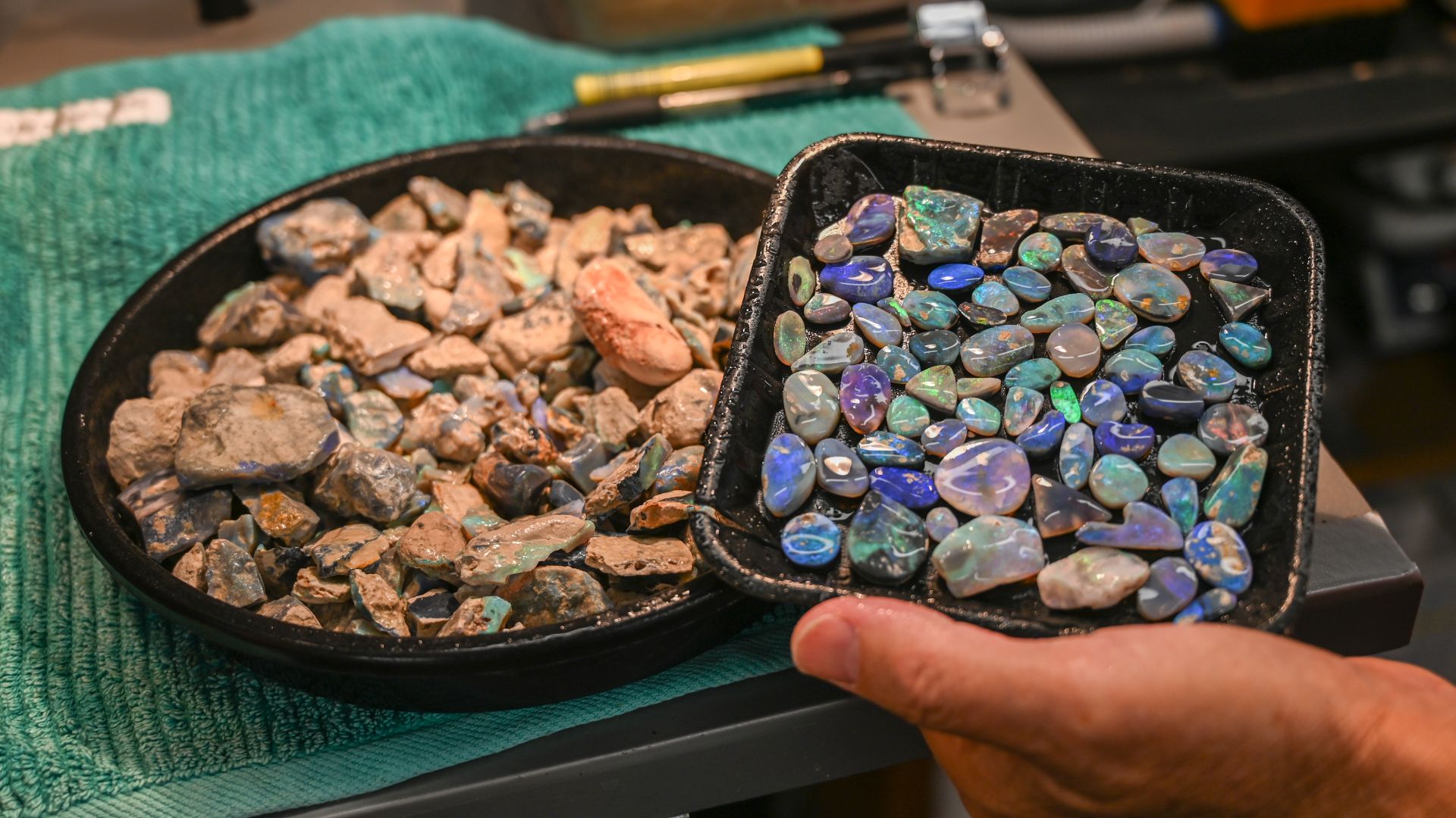 A photo of two plates, one with rubbed back opals, which are blue or green, and the other with rough opals that have been sprayed with water.