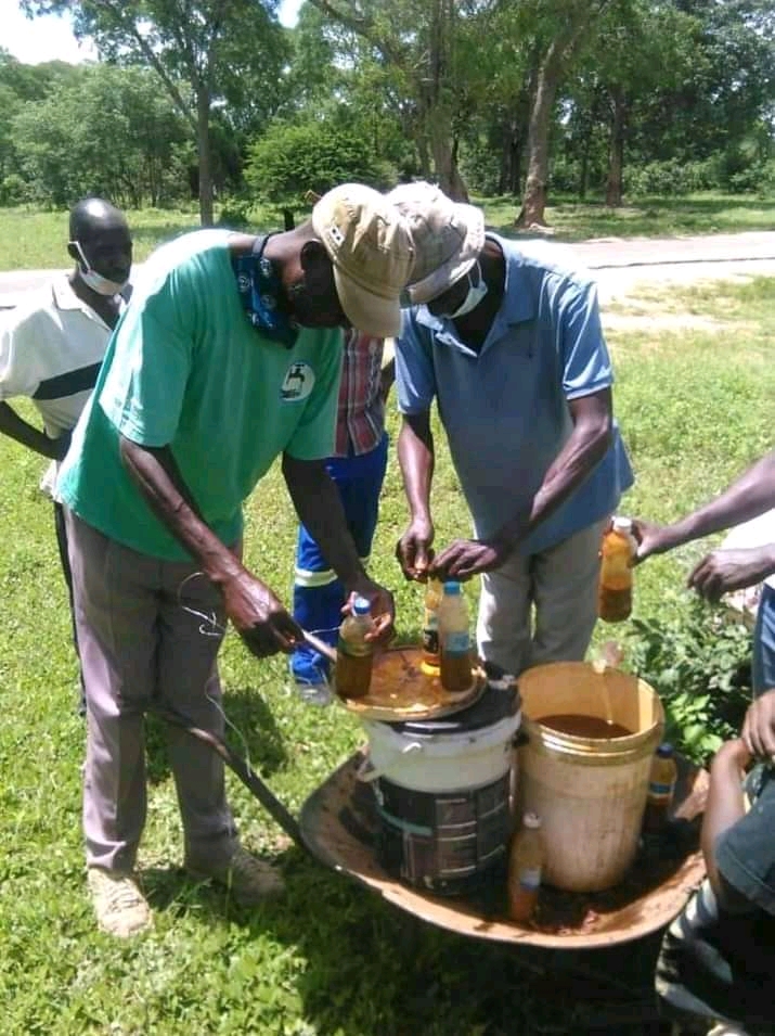 Community volunteers packing elephant repellent in used plastic bottles in Zimbabwe