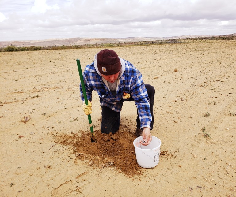 A Hopi farmer planting seeds