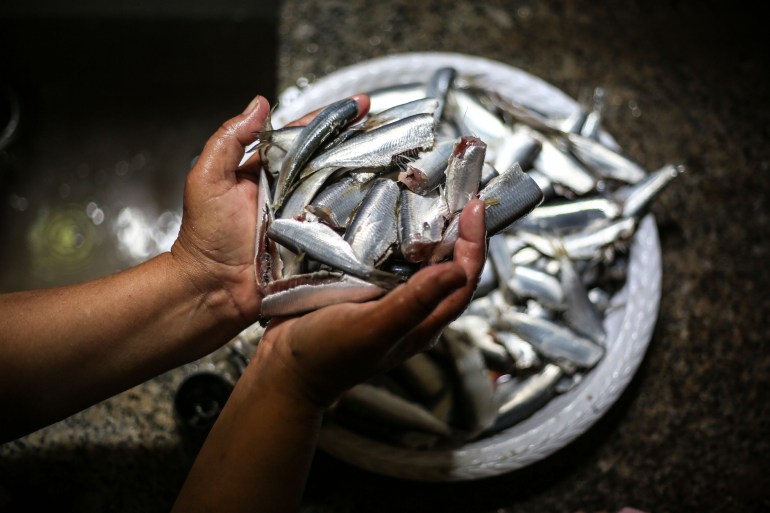 a photo of hands holding up a large handful of gutted sardines