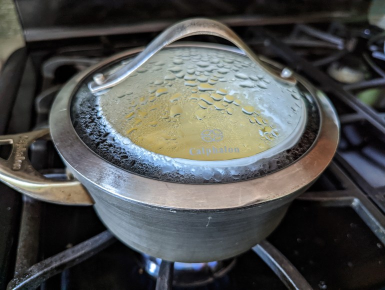 Photo of bubbling steamer with a bowl of eggs inside, its glass lid foggy with condensation