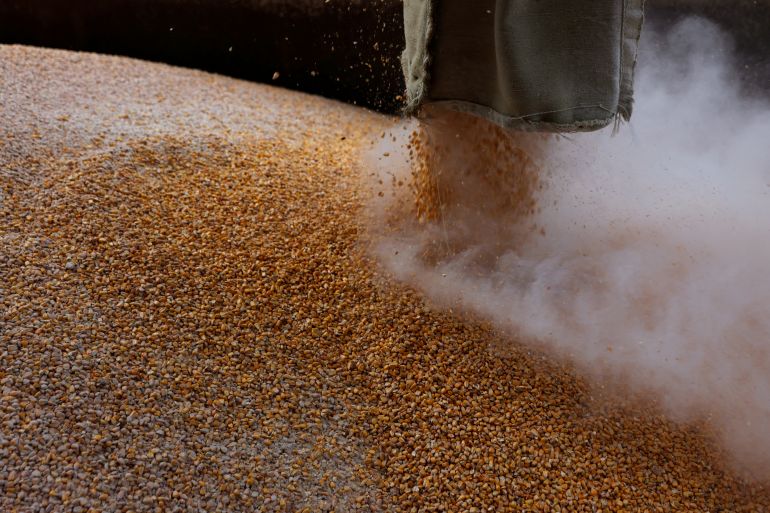 Grain is loaded on a truck at the Mlybor flour mill facility in Chernihiv region, Ukraine.