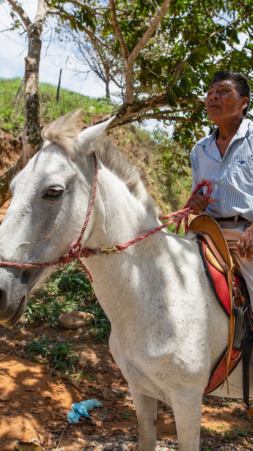 A photo of Santiago Figueroa, 68, on his horse in Salitre.