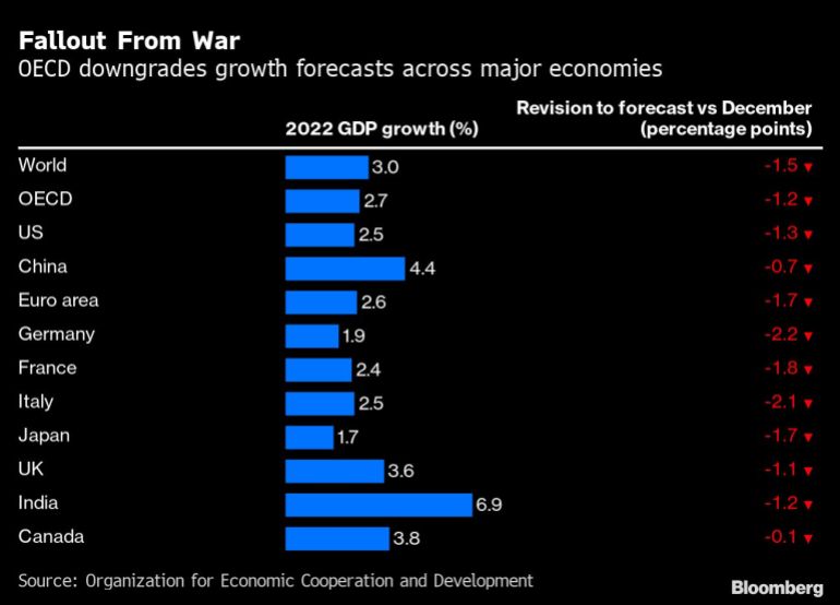 OECD downgrades growth forecasts across major economies