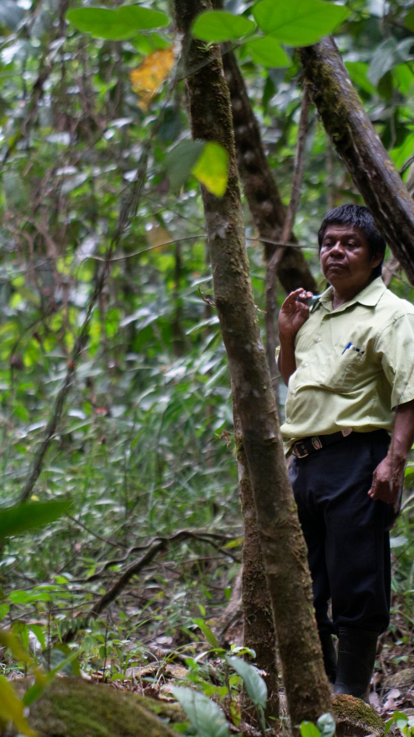 A photo of Felipe Figueroa standing in the middle of a very green forest.
