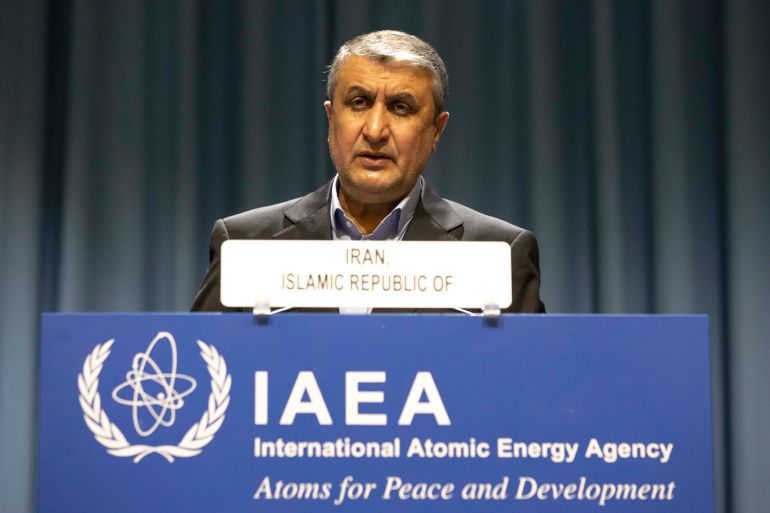 A man standing at a lectern that says IAEA
