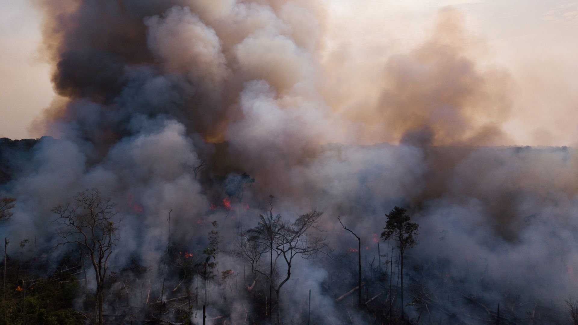 Smoke billows over the Amazon