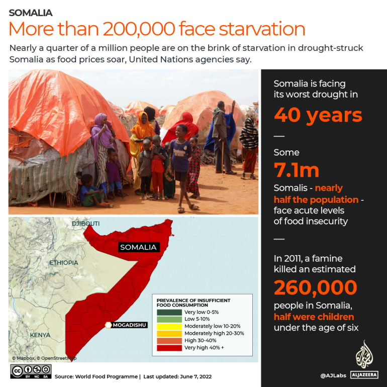 INTERACTIVE_Somalia more than 200,000 face starvation - infographic