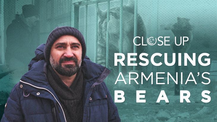 Rescuing-Armenia’s-Bears