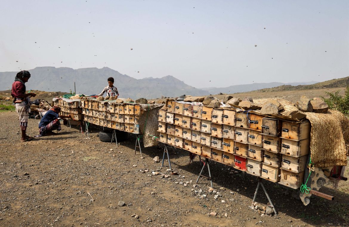 Yemeni beekeepers check beehives at a farm in Yemen