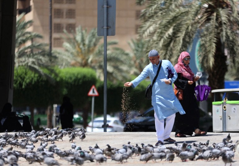 Muslim pilgrims feed pigeons in the holy city of Mecca