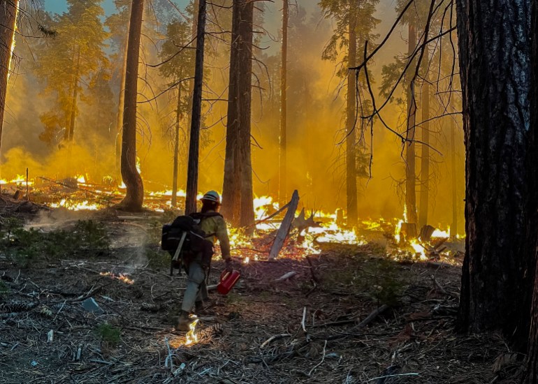 In this photo courtesy of the National Park Service obtained on July 11, 2022, fire fighters perform backfire operations while combating the Washburn Fire near the South Entrance of Yosemite National Park, California on July 11, 2022. - The Washburn Fire has burned over 2,430 acres and is threatening the Mariposa Grove which contains ancient giant Sequoia trees. The wildfire is at 0% containment and over 500 firefighters have already been deployed to fight it with more on the way. (Photo by Handout / NATIONAL PARK SERVICE / AFP) / RESTRICTED TO EDITORIAL USE - MANDATORY CREDIT "AFP PHOTO / NATIONAL PARK SERVICE" - NO MARKETING NO ADVERTISING CAMPAIGNS - DISTRIBUTED AS A SERVICE TO CLIENTS