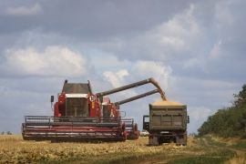 Combines lead wheat in Russian-held part of Zaporizhzhia region, Ukraine