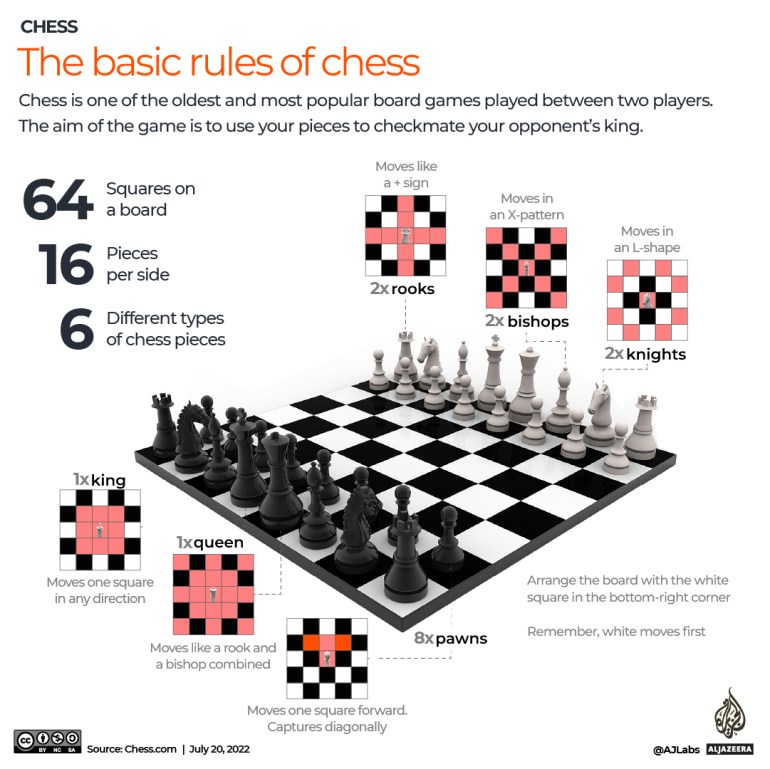 INTERACTIVE- Chess day - Basic rules of chess infographic Jul 20