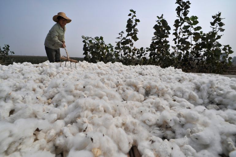 A farmer spreads cotton out to dry in a village on the outskirts of Xiangfan, Hubei province, China.