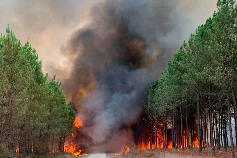 the fire brigade of the Gironde region SDIS 33, (Departmental fire and rescue service 33) shows flames consume trees at a forest fire in Saint Magne, south of Bordeaux, south western France