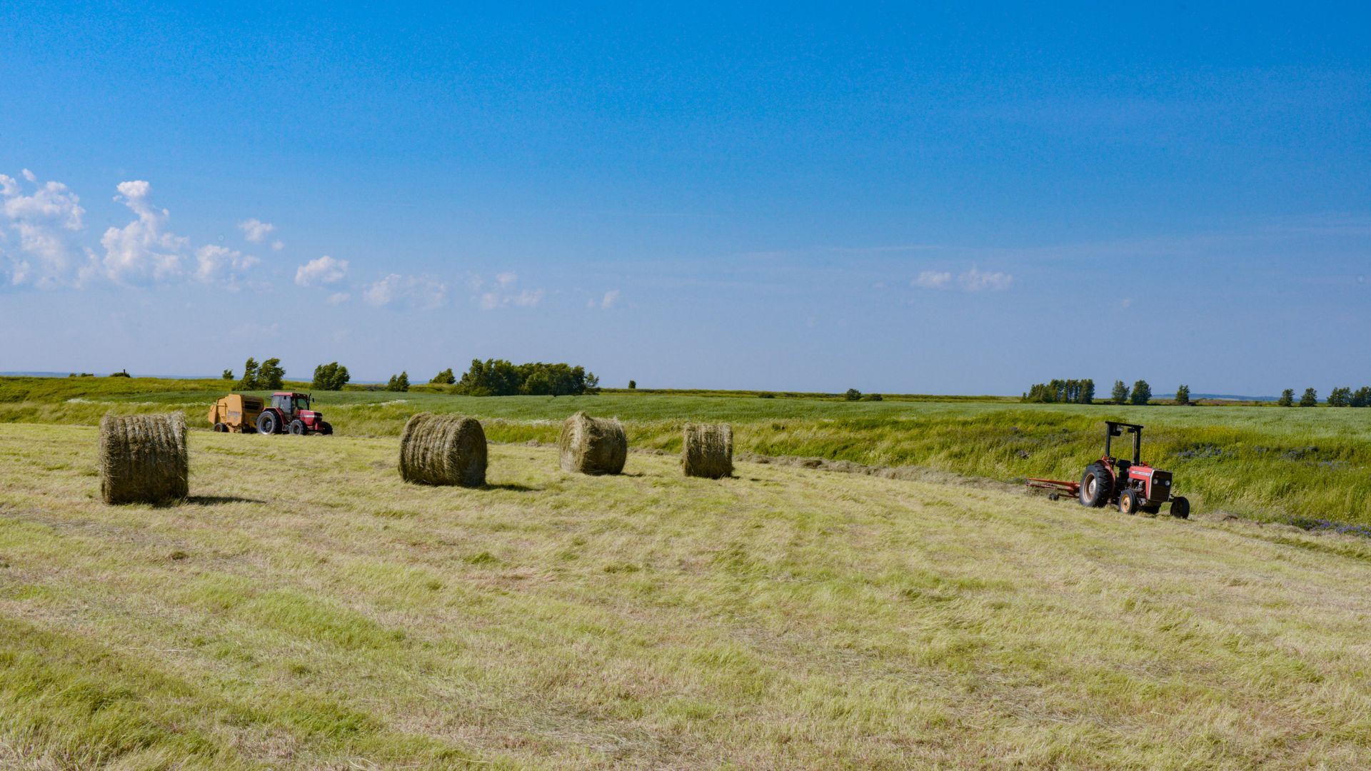 Hay bales on farmland along the Chignecto Isthmus in Nova Scotia, Canada.