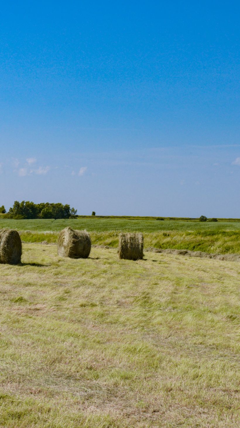 Hay bales on farmland along the Chignecto Isthmus in Nova Scotia, Canada.