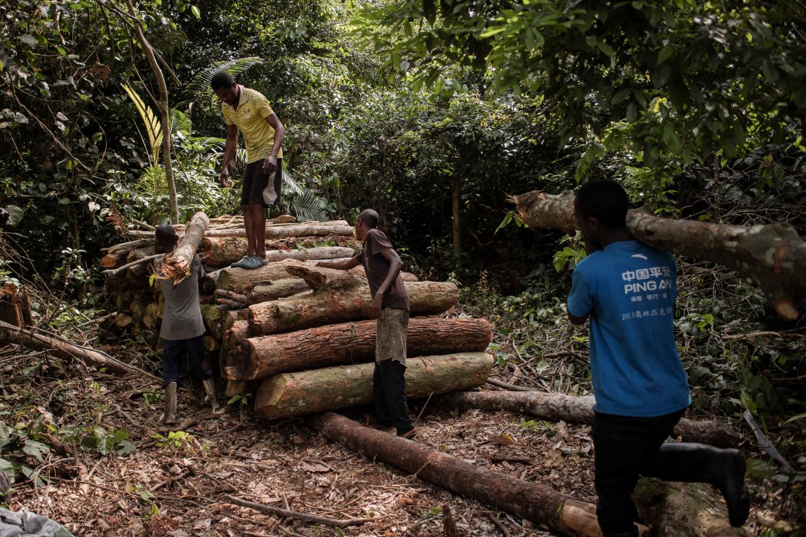DRCONGO-ENVIRONMENT-CLIMATE-FORESTS