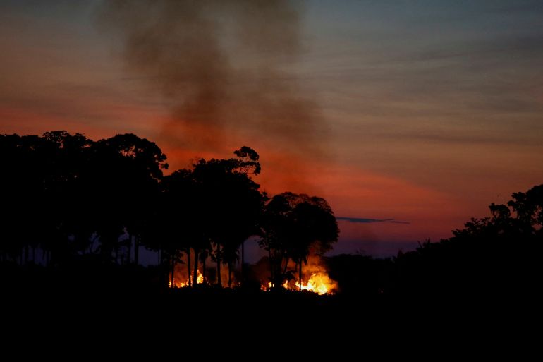 Fire burns in an area of the Amazon, Brazil