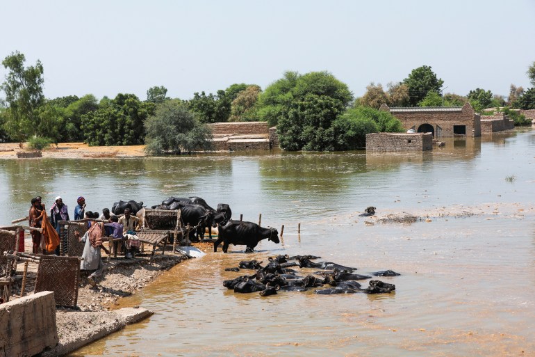 A family takes refuge with their belongings and animals amid rising flood water, following rains and floods during the monsoon season on the outskirts of Bhan Syedabad, Pakistan September 8, 2022.