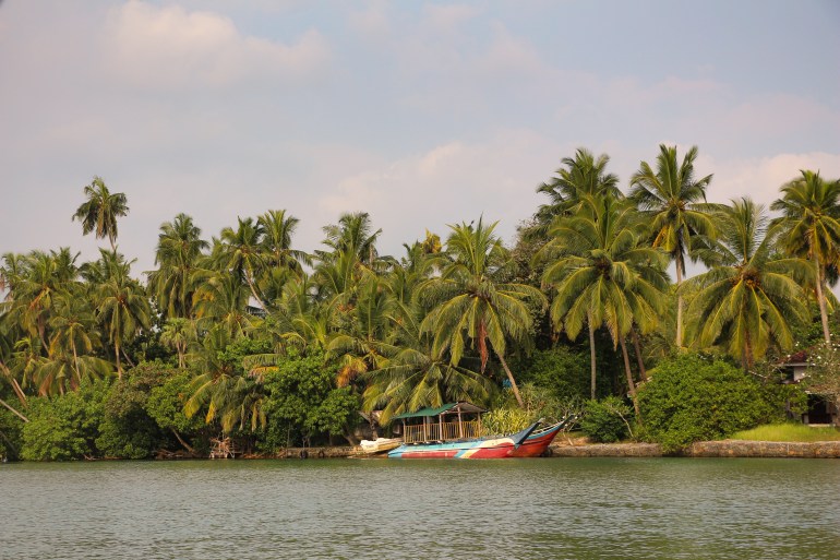 A view of palm trees on the far shore of a river with two colourful boats docked to the shore