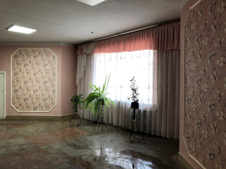A photo of the inside of a hospital wall with a window covered by curtains on one wall and three plants in front of it, in a row, two in vases, one is a potted plant with floral wallpaper on either side of the wall with the window.