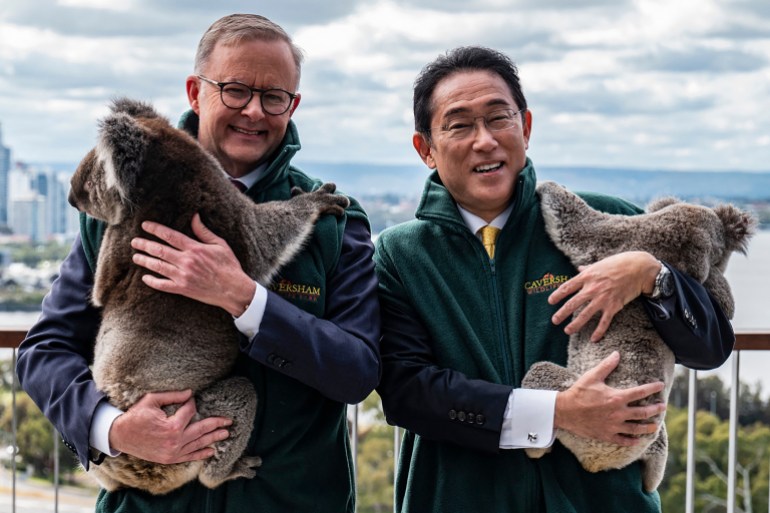 Australian Prime Minister Anthony Albanese and Japan Prime Minister Kishida Fumio pose with koalas during their visit to Kings Park in Perth on October 22, 2022 [Tony McDonough/Pool/ AFP]