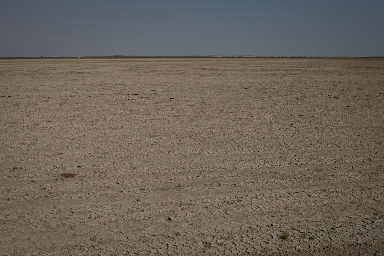 A dry wetland in Spain's Doñana National Park following a summer of record heatwaves and drought