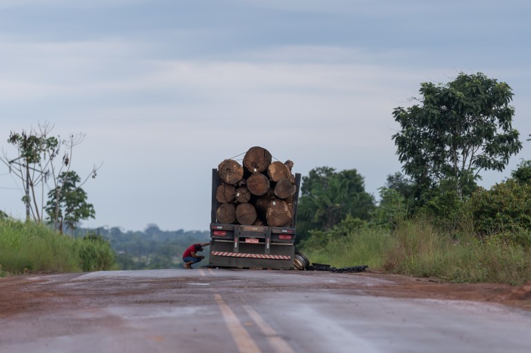 A truck transports logs to a sawmill along the BR-174 Highway in south Roraima