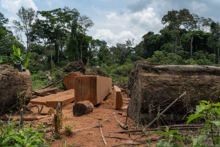 An improvised sawmill in to cut Amazon hardwoods in Bairro União, Rorainópolis