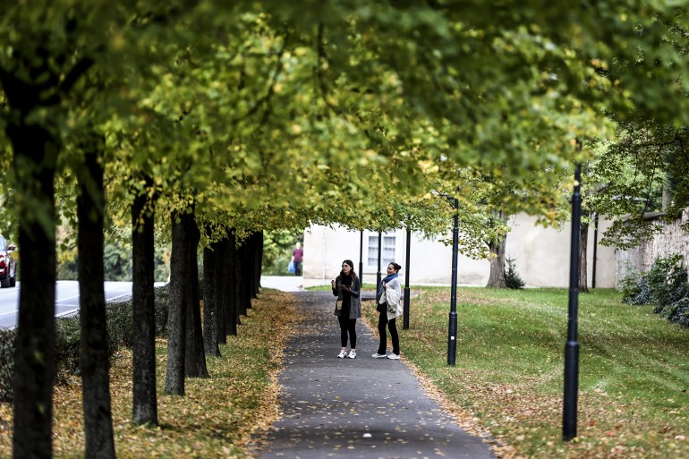 Two people standing in a pathway in a park covered in orange and green leaves from the trees surrounding the place.