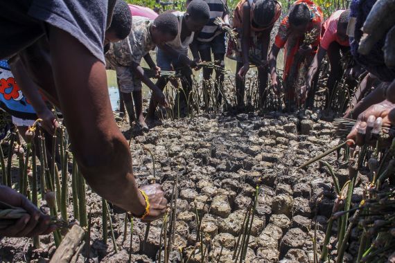 People plant mangroves during a community exercise to restore their habitat in Mtwapa, on the Indian Ocean coast of Kenya, April 2022