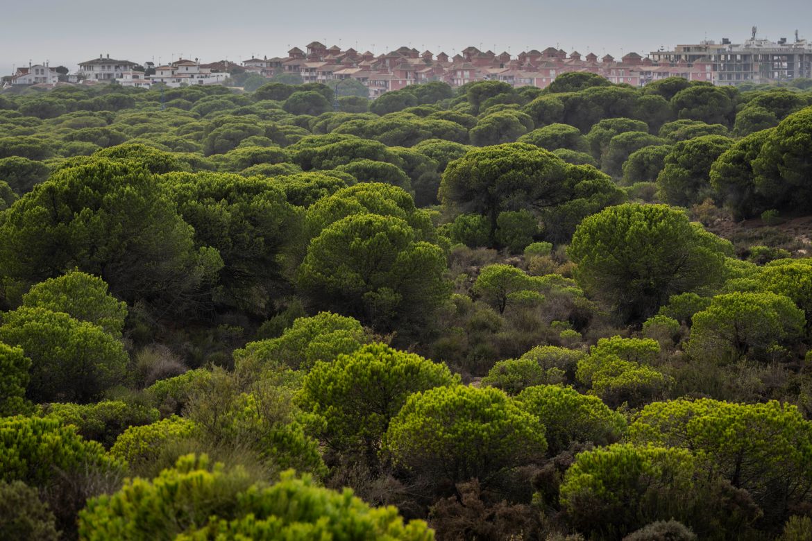 Spain Climate Drying Wetlands