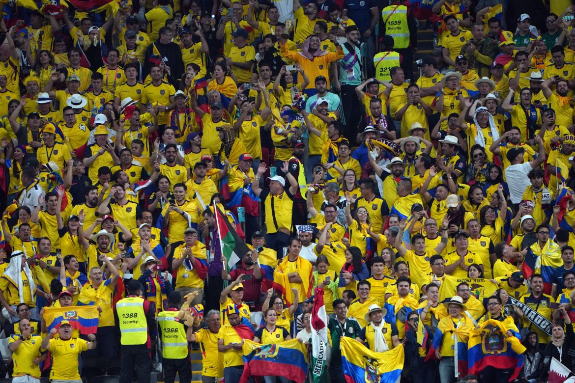 Ecuador fans celebrate