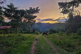 A twilight view of a dirt road in the indigenous community of San Jose de Uchupiamonas inside Bolivia's Madidi National Park