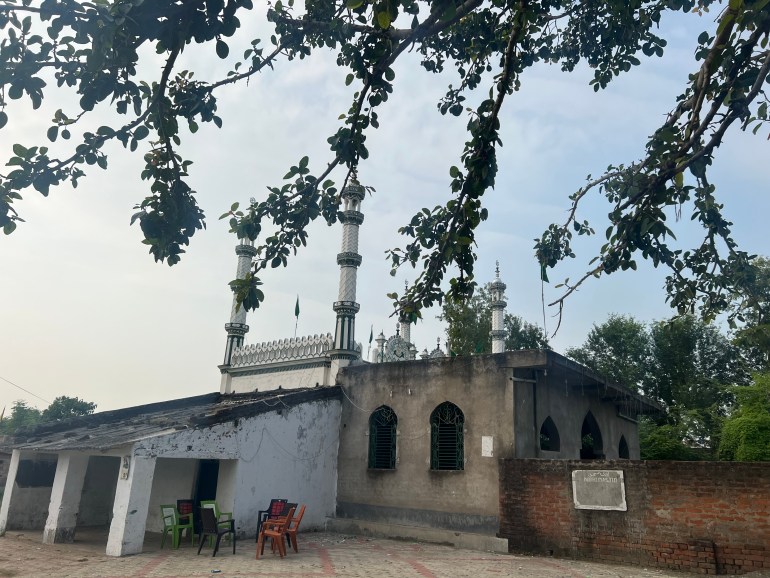 A photo of a mosque with a tree covering the first half of the photograph.