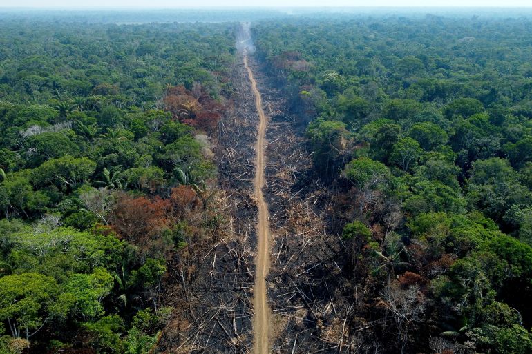 A deforested and burnt area