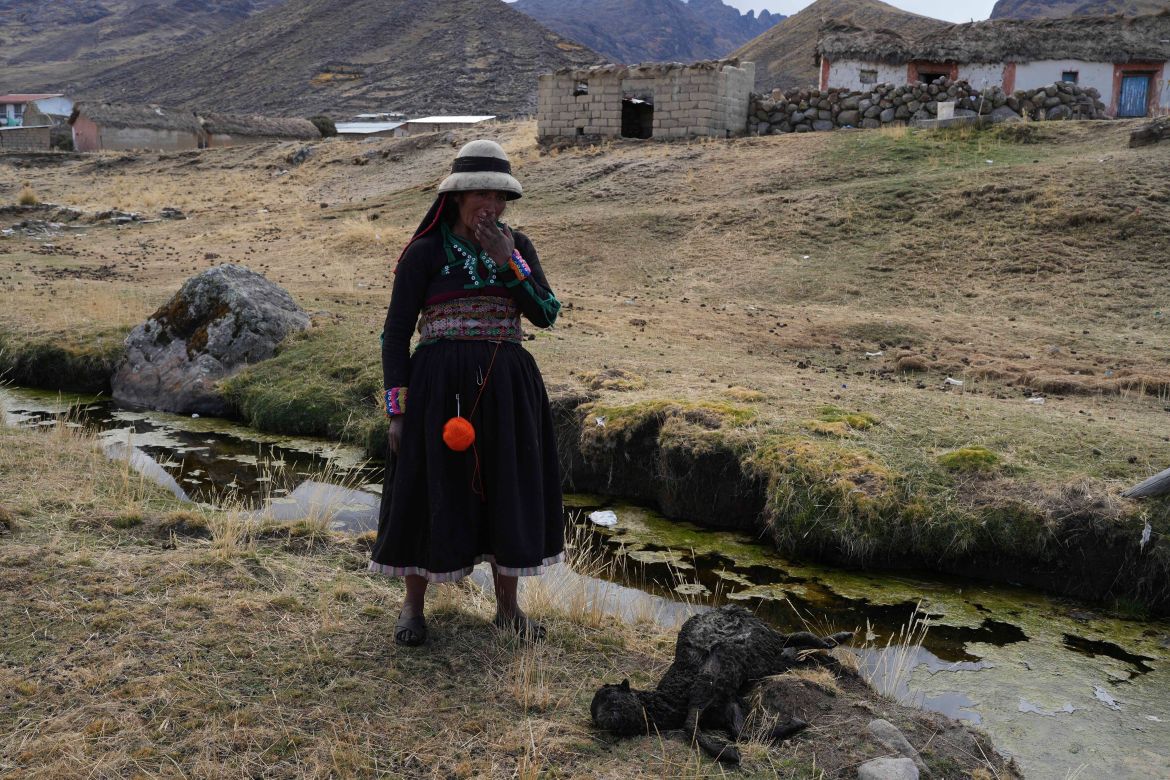 A woman stands near a spring next to a dead sheep