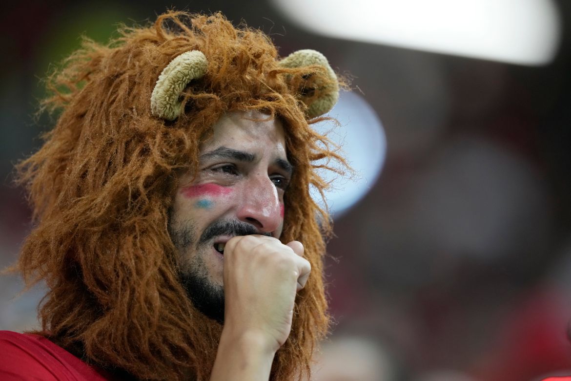 Fan wearing a lion's man and with his face painted bits on his fist