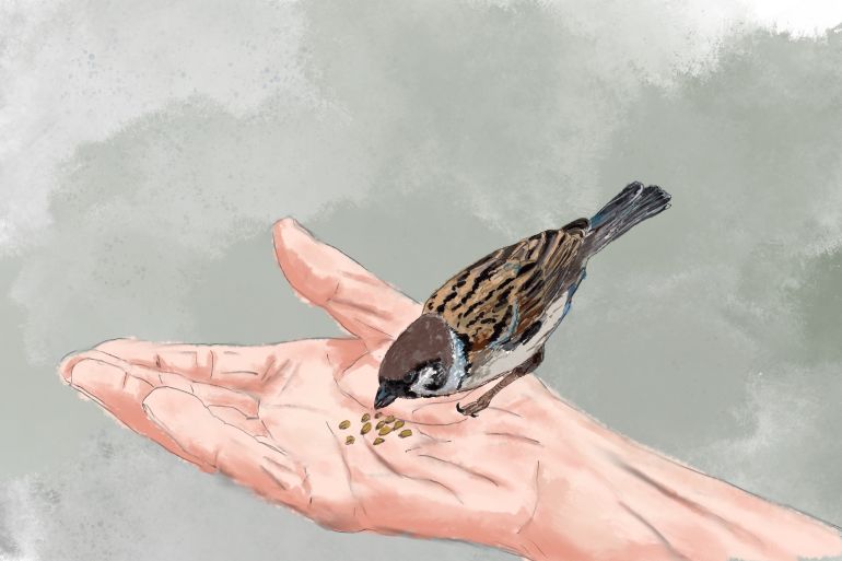 An illustration of a sparrow in a hand