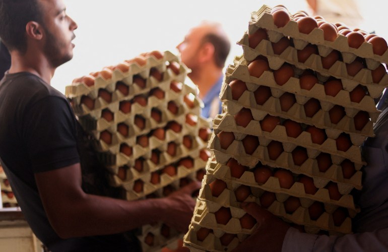Workers carry chicken eggs at Fresh Eggs Farm as egg prices have risen in the market due to higher feed prices after Russia's invasion of Ukraine, in El-Menoufia governorate, north of Cairo, Egypt, September 6, 2022