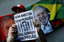 A pro-democracy demonstrator holds a sign in Brazil