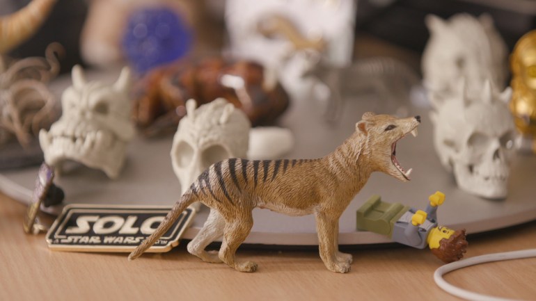 A photo of a figurine of a thylacine.