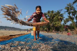 A woman scatters fish from a cloth onto a mat on the beach in Ngapali. The mat is blue. There are palm trees behind. She looks happy and has thanaka, a yellow paste, painted on her cheeks