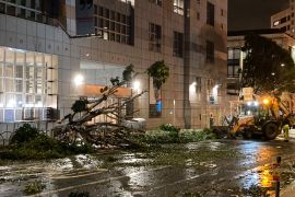 A fallen tree outside the San Francisco Public Library's Civic Center branch.