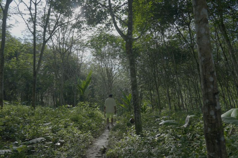 A Furukawa worker walks through the abaca plantations where he has worked for almost his entire life in Ecuador